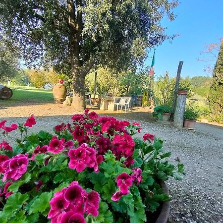 Azienda Agricola Polveraia سان جيمينيانو المظهر الخارجي الصورة