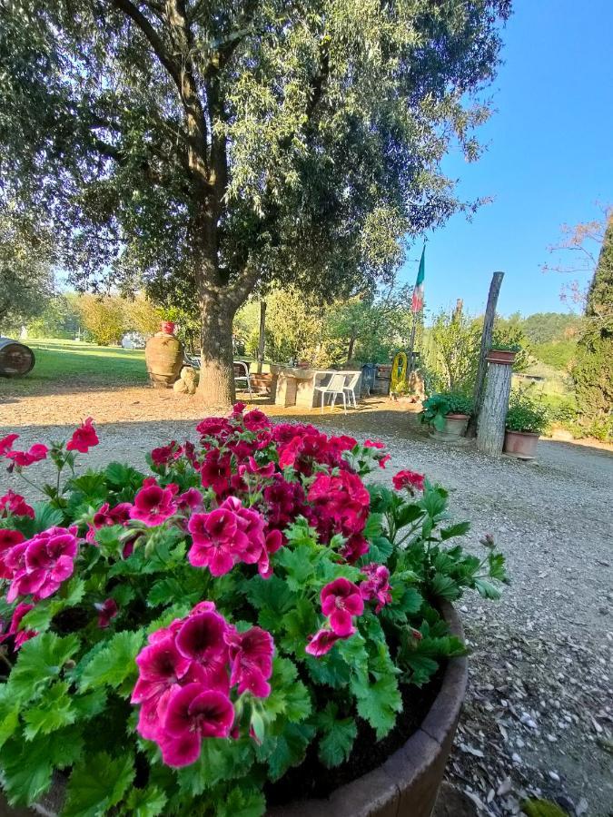 Azienda Agricola Polveraia سان جيمينيانو المظهر الخارجي الصورة