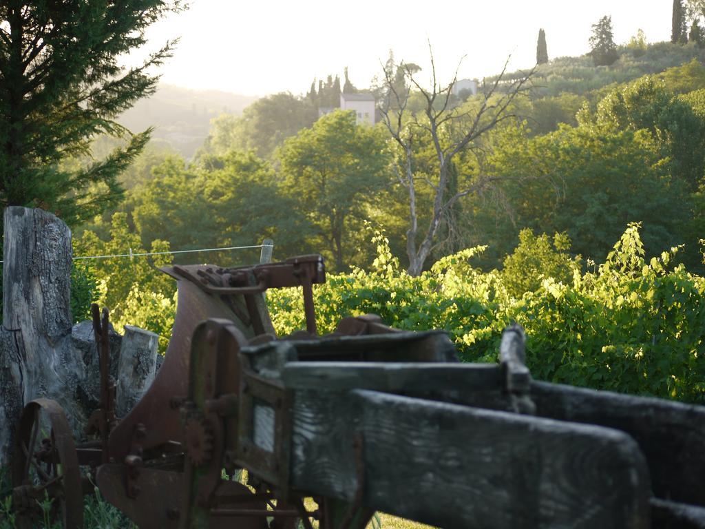 Azienda Agricola Polveraia سان جيمينيانو المظهر الخارجي الصورة