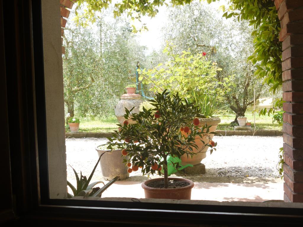 Azienda Agricola Polveraia سان جيمينيانو المظهر الخارجي الصورة