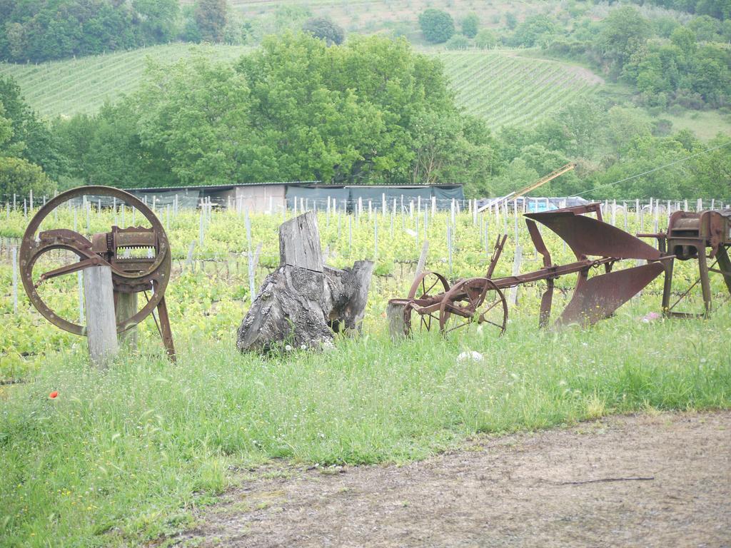 Azienda Agricola Polveraia سان جيمينيانو المظهر الخارجي الصورة