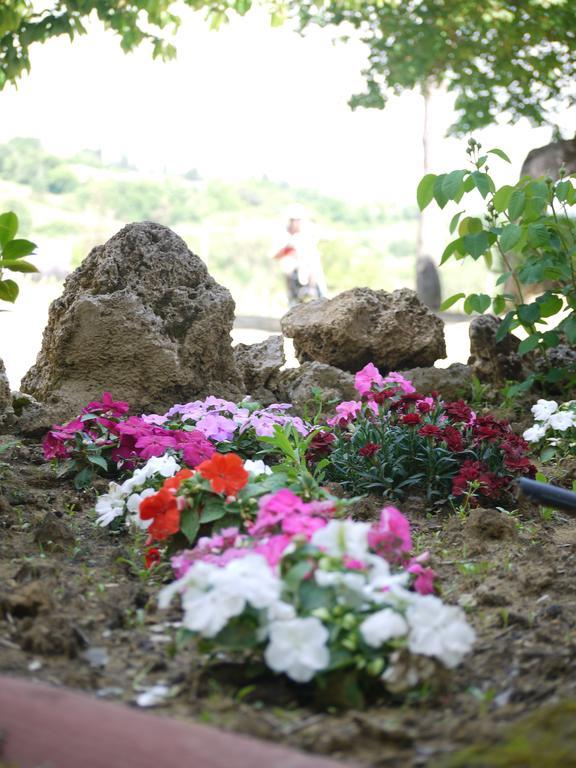 Azienda Agricola Polveraia سان جيمينيانو المظهر الخارجي الصورة
