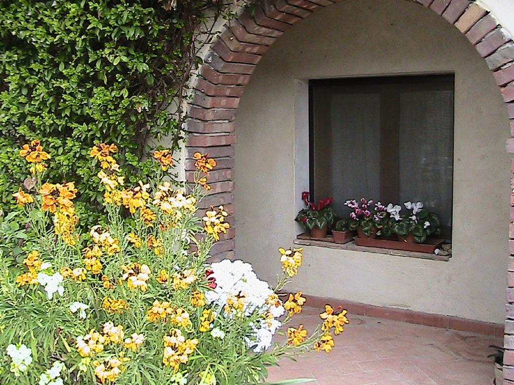 Azienda Agricola Polveraia سان جيمينيانو المظهر الخارجي الصورة