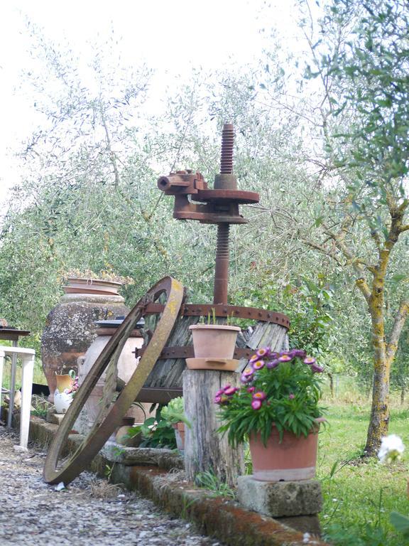 Azienda Agricola Polveraia سان جيمينيانو المظهر الخارجي الصورة