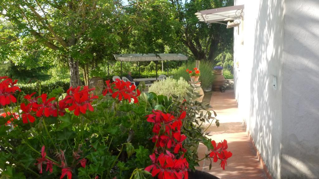 Azienda Agricola Polveraia سان جيمينيانو المظهر الخارجي الصورة