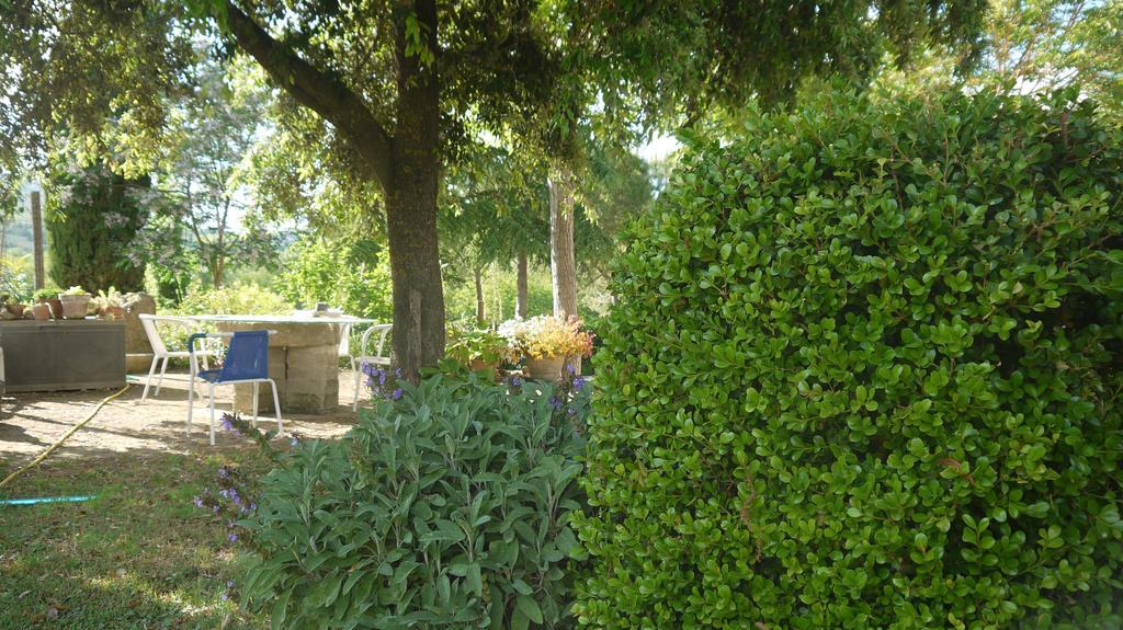 Azienda Agricola Polveraia سان جيمينيانو المظهر الخارجي الصورة