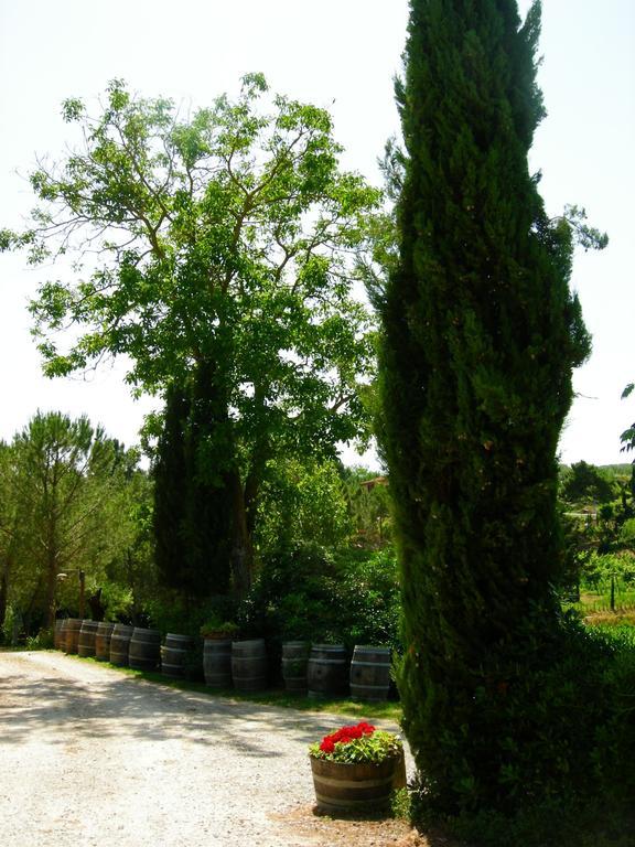 Azienda Agricola Polveraia سان جيمينيانو المظهر الخارجي الصورة