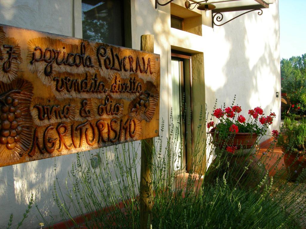 Azienda Agricola Polveraia سان جيمينيانو المظهر الخارجي الصورة