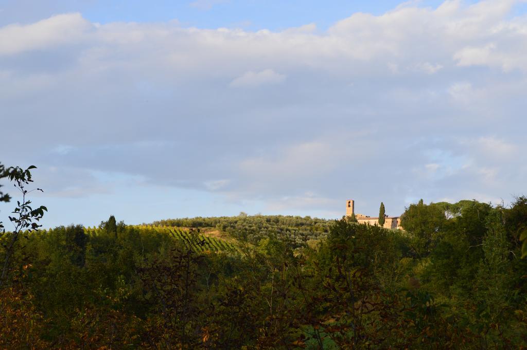 Azienda Agricola Polveraia سان جيمينيانو المظهر الخارجي الصورة