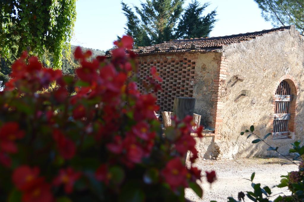 Azienda Agricola Polveraia سان جيمينيانو المظهر الخارجي الصورة