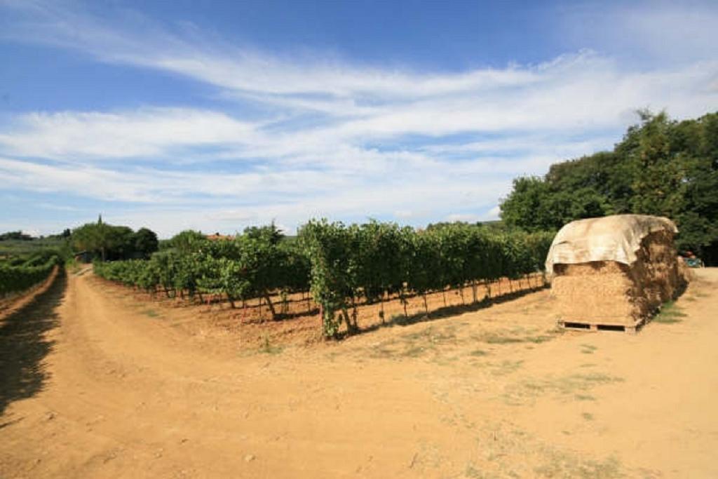 Azienda Agricola Polveraia سان جيمينيانو المظهر الخارجي الصورة